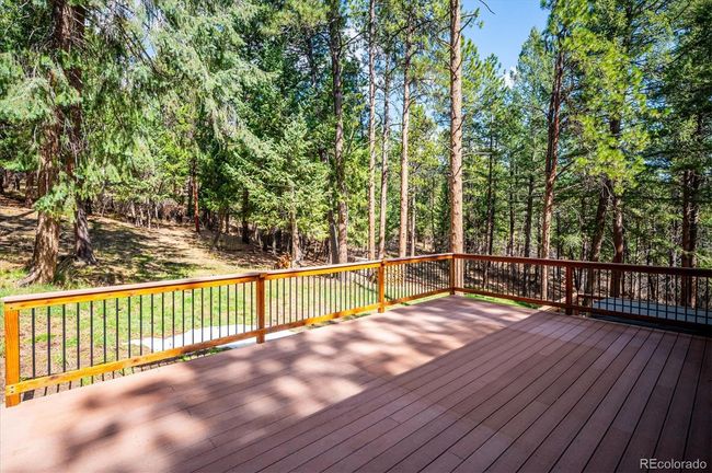 20025 Flint Ln, House other with 4 bedrooms, 3 bathrooms and 7 parking in Morrison CO | Image 29
