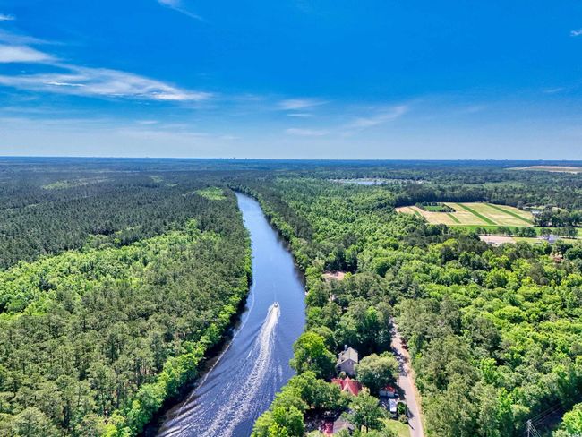 Bird's eye view of a forest and a nearby body of water | Image 39