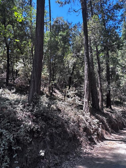 14763 Mitchell Mine Rd, Pine Grove, CA, 95665-9678 | Card Image