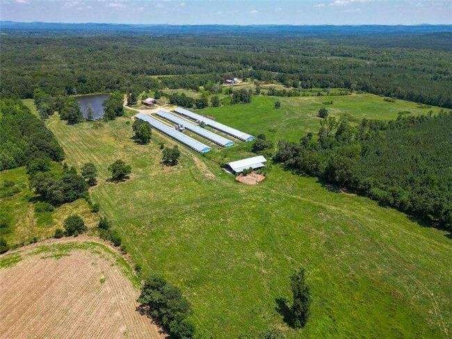 204 George Rd Sw, Home with 0 bedrooms, 0 bathrooms and null parking in Cave Spring GA | Image 5