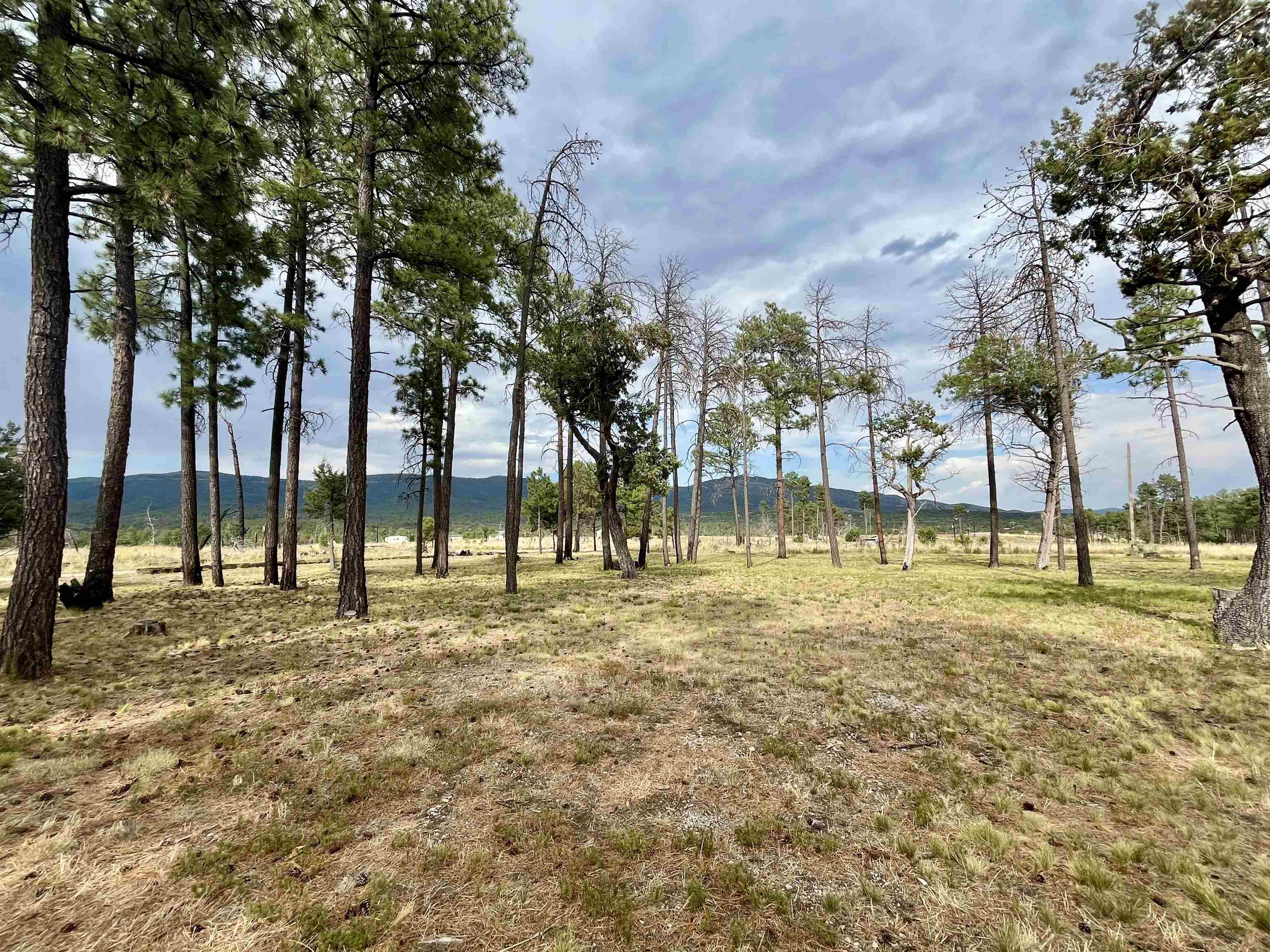 Residential in Timberon 4