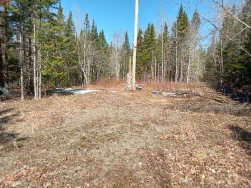 Lot 85 Woodland Ridge Road, Danforth, ME, 04424 | Card Image