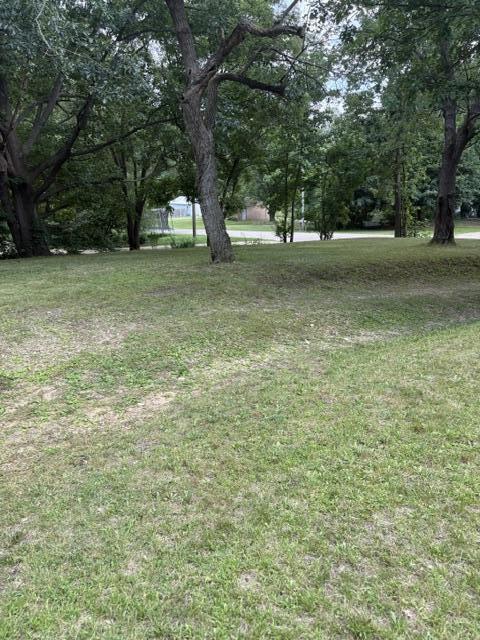 Residential in Emmett Charter Township 4