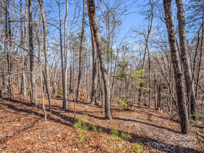 21-24-AND-25 - 000 Forester Ln, Home with 0 bedrooms, 0 bathrooms and null parking in Mill Spring NC | Image 15