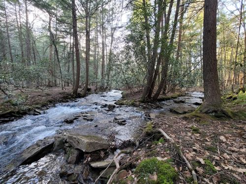 ON Back Hill Rd, Pottersdale, PA, 16871 | Card Image