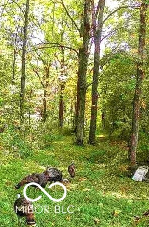 N/A Fiscus Cemetary Rd, Coal City, IN, 47427 | Card Image