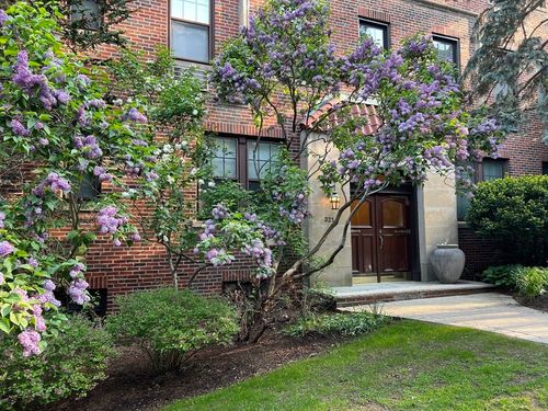 apt-3-321 Tappan St, Brookline, MA, 02445-5335 | Card Image