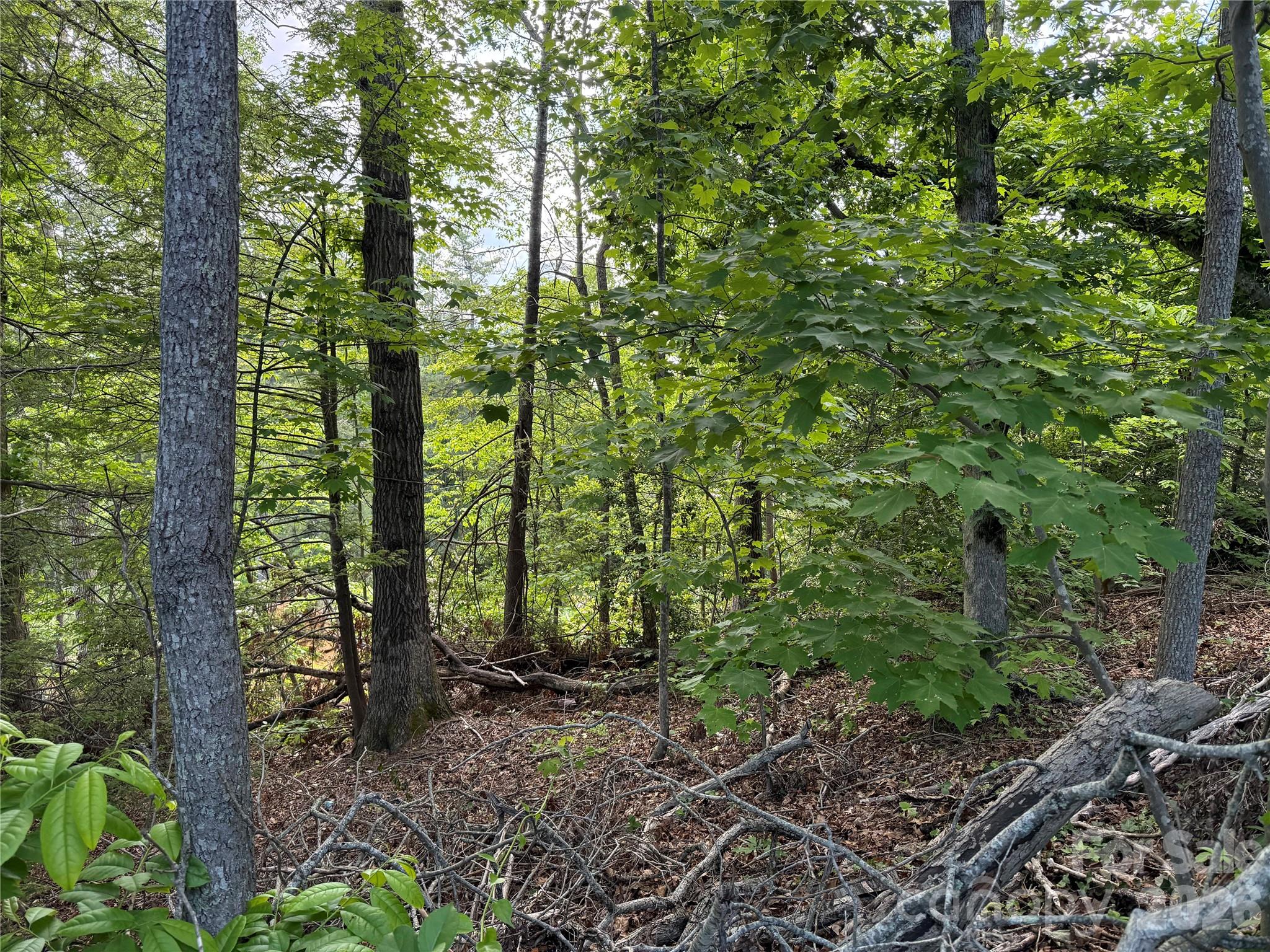 Land in Hendersonville 3