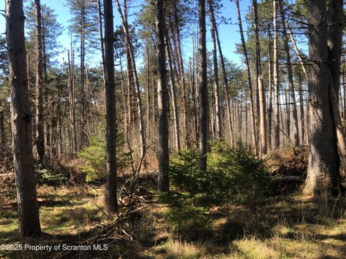 lot-3-634 Lily Lake Rd, North Abington Township, PA, 18414-8134 | Card Image