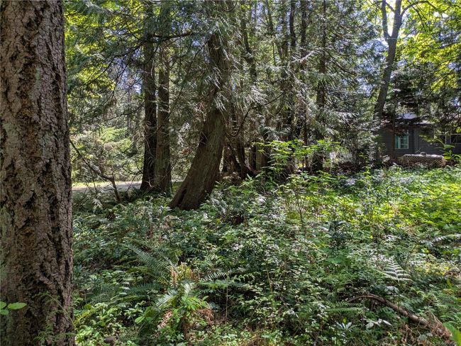 35 Captain Morgans Blvd, Home with 0 bedrooms, 0 bathrooms and 2 parking in Protection Island BC | Image 5