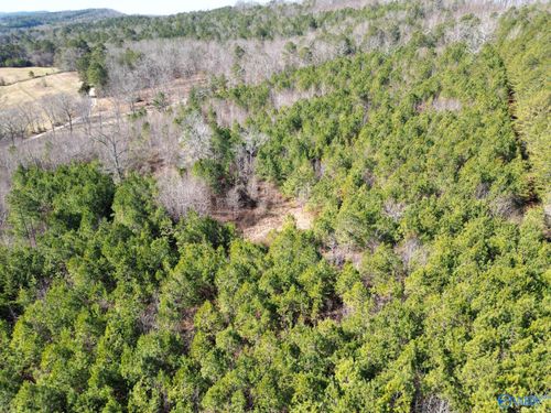 1.90 ACRES Gault Ave N, Fort Payne, AL, 35967 | Card Image