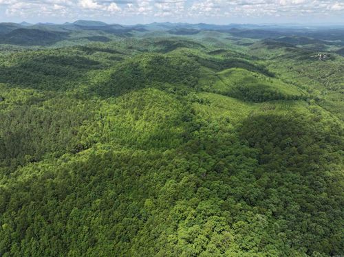 TBD Polk Road 61, Mena, AR, 71953 | Card Image