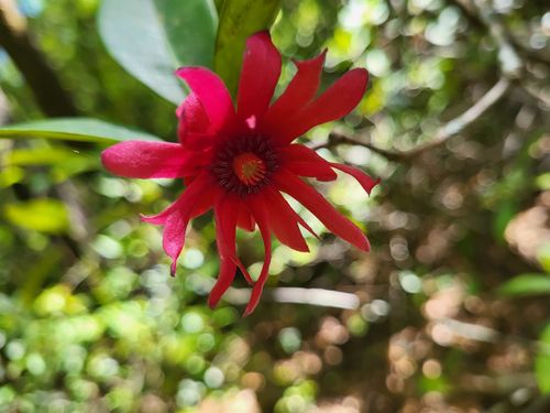 800 Florida Line Rd, QUINCY, FL, 32352 | Card Image