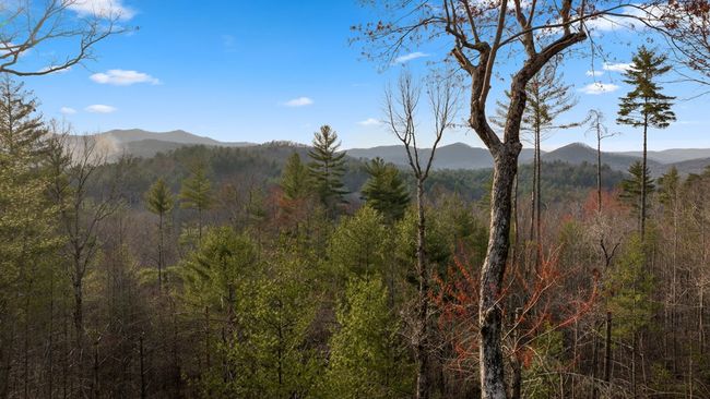 81 Morgan Trl, Home with 3 bedrooms, 3 bathrooms and null parking in Epworth GA | Image 54
