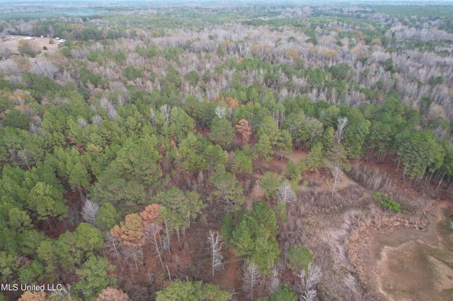 DJI_0890 | Image 15