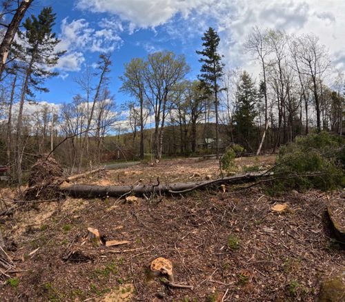 169 Sun And Ski Rd, Wilmington, VT, 05363-9638 | Card Image