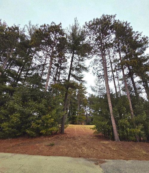 913 Forest Trail, Pacific, WI, 53901 | Card Image