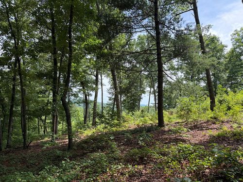 Lot 20 Lake Top Lane, Ellijay, GA, 30540 | Card Image