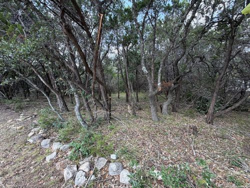 180 Rosenberry, Bulverde, TX, 78163-1783 | Card Image