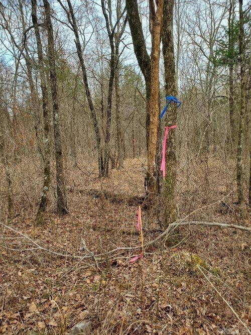 TBD Fs Road 7100, Mena, AR, 71953 | Card Image