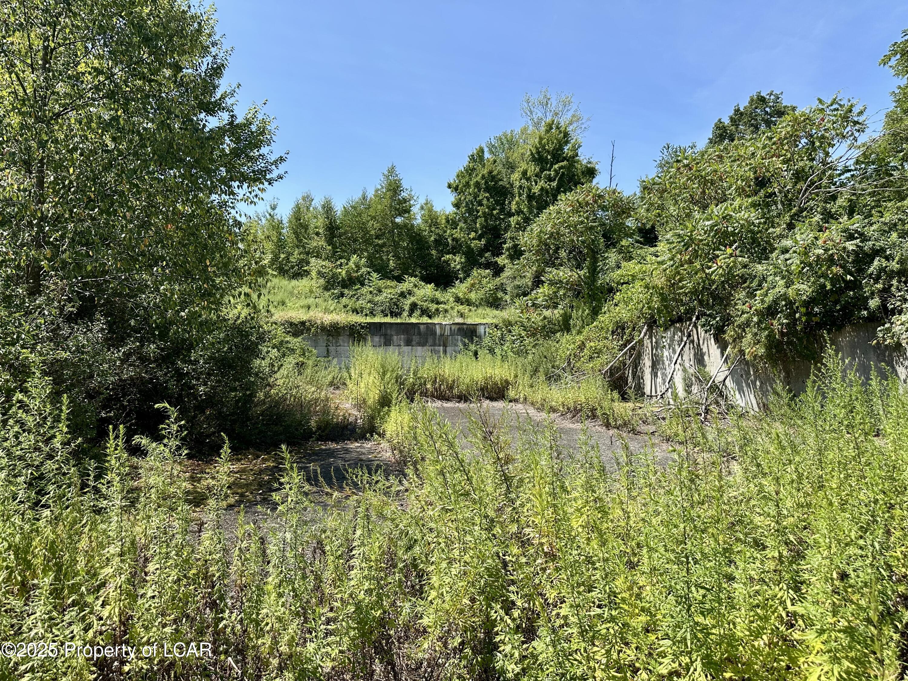 Land in North Abington Twp. 5