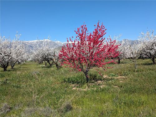 0 Pump House Rd, Banning, CA, 92220 | Card Image