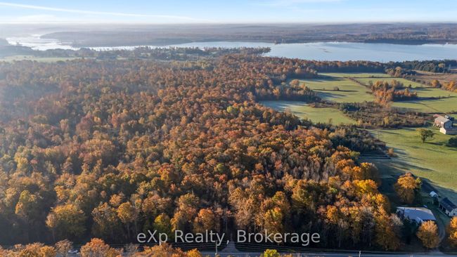 PTLT 17 Grey Road 17 N/A, Home with 0 bedrooms, 0 bathrooms and null parking in Georgian Bluffs ON | Image 12