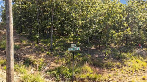 Lot 30 Doris Lewis Lane, Mayflower, AR, 72032 | Card Image