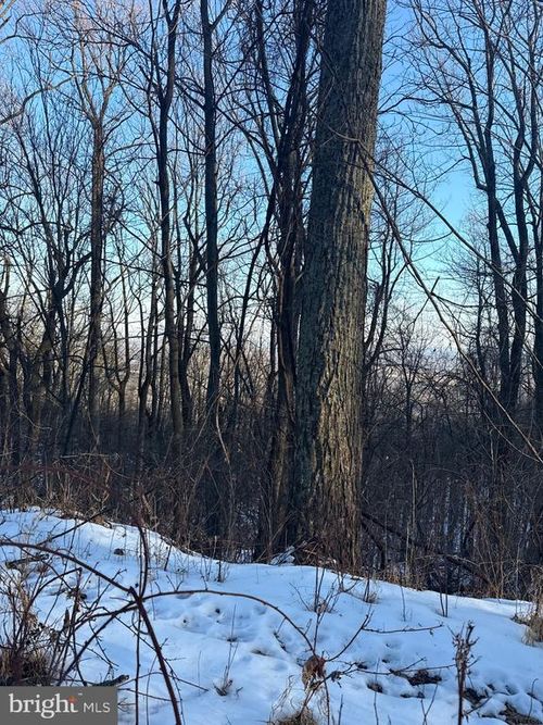 1607 Summit Dr, HAYMARKET, VA, 20169-1317 | Card Image