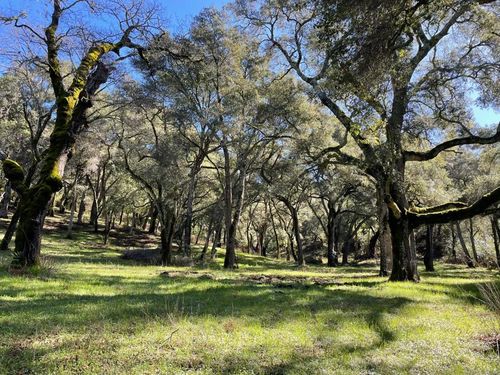 10 Garzas Trl, Carmel, CA, 93923-7708 | Card Image