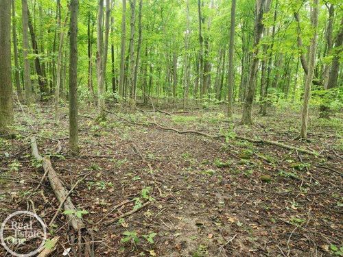 VL Sheridan Road, Emmett Township, MI, 48022 | Card Image