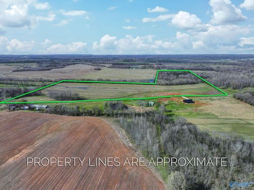 60+/- acres County Road 460, Mount Hope, AL, 35651 | Card Image