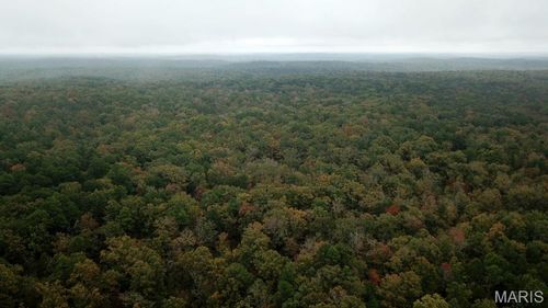 00 Forest Rd, Williamsville, MO, 63967 | Card Image