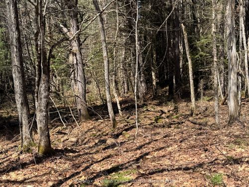 Lot 16 Con 2 Draper N/A, Bracebridge, ON, P1P1R3 | Card Image