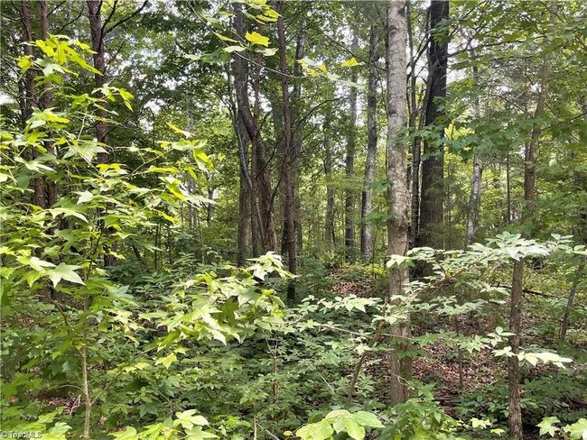 17 Old Mill Rd, Home with 0 bedrooms, 0 bathrooms and null parking in Providence NC | Image 5