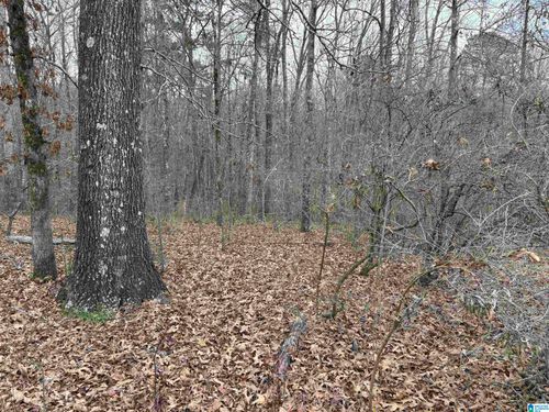 163-acres-9906 Trammel Road, Dora, AL, 35062 | Card Image