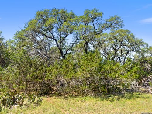 1530 Misty Lane, Spring Branch, TX, 78070 | Card Image
