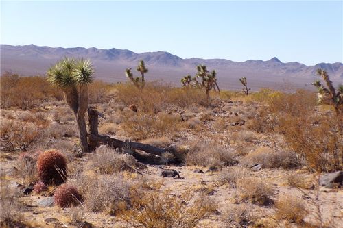 2 N Hitching Post, White Hills, AZ, 86445 | Card Image