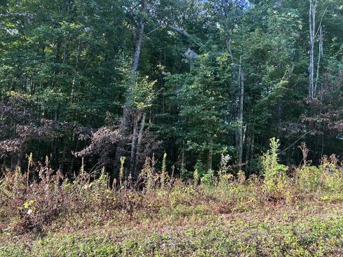 0 Panther Branch Rd, Jamestown, TN, 38556 | Card Image