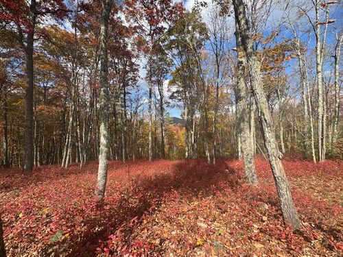 00 Blazing Star Trail, Glenville, NC, 28736 | Card Image