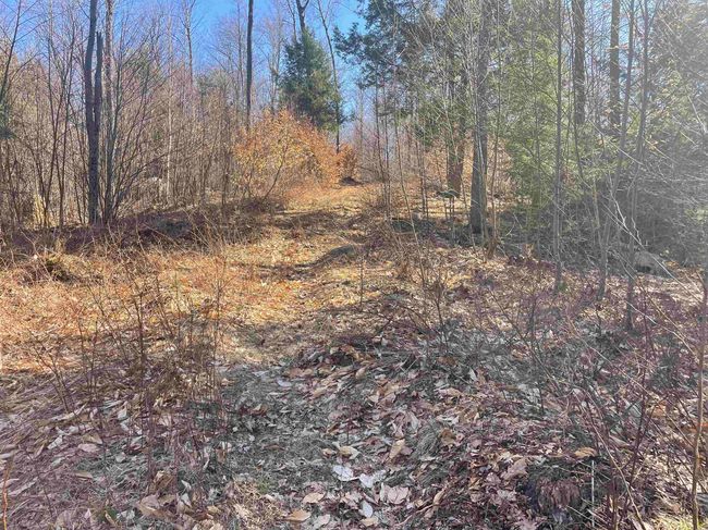 63 New Boston Rd, Home with 0 bedrooms, 0 bathrooms and null parking in Francestown NH | Image 35
