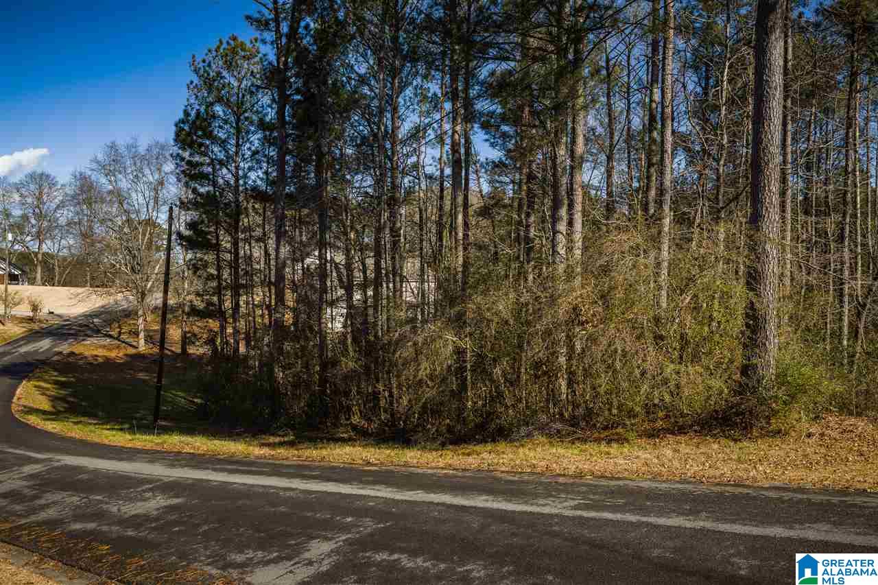 Land in ONEONTA 5