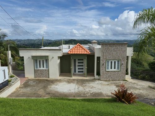 PR 152 KM 1.7 Quebrada Grande Ward, BARRANQUITAS, PR, 00794 | Card Image