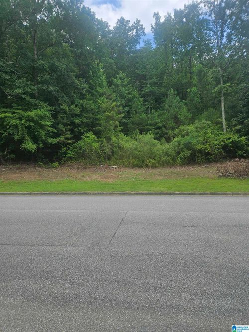10-244 Normandy Ln, CHELSEA, AL, 35043-5353 | Card Image