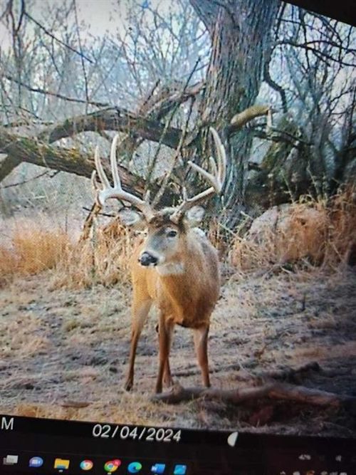 N3953-89 Bear Pen Rd, ARKANSAW, WI, 54721 | Card Image