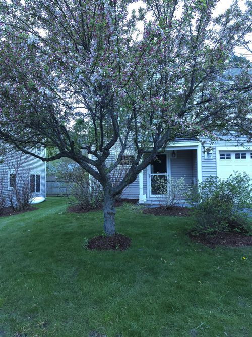 21-299 Mount Support Rd, Lebanon, NH, 03766-2811 | Card Image
