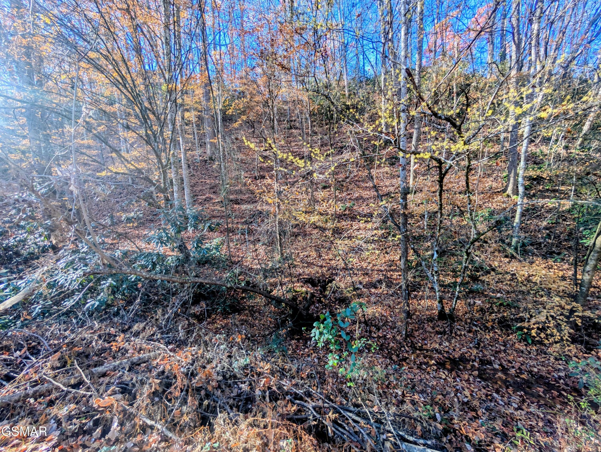 Land in Sevierville 5