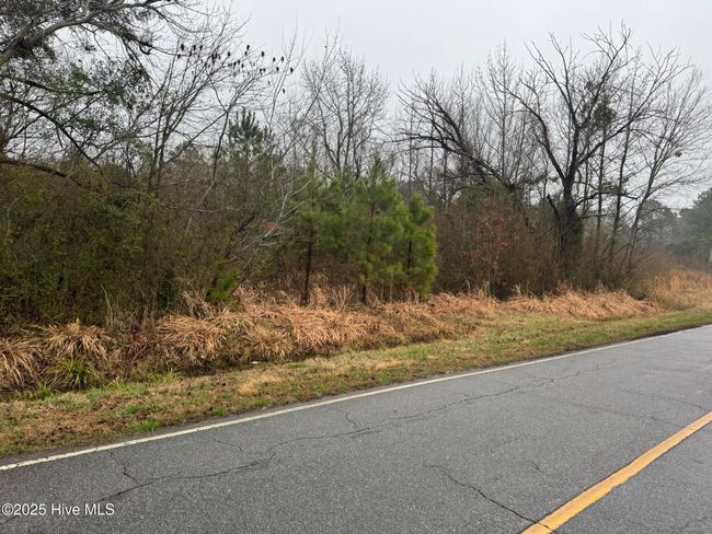894 Swamp Road, Home with 0 bedrooms, 0 bathrooms and null parking in Pantego NC | Image 4
