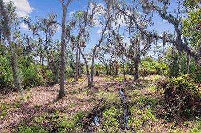 96524 Soap Creek Drive, Home with 0 bedrooms, 0 bathrooms and null parking in Fernandina Beach FL | Image 3