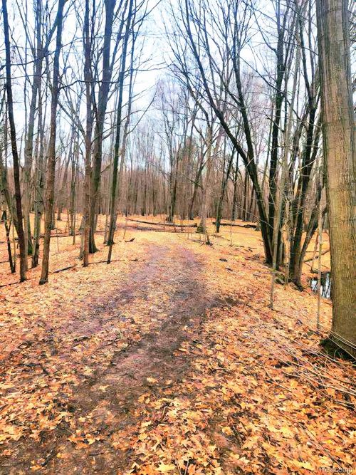 Parcel B1 Foley Road, Tyrone Township, MI, 48430 | Card Image